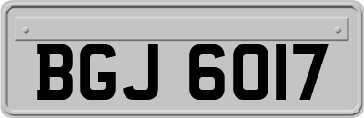 BGJ6017