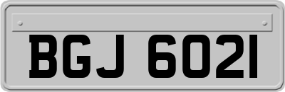 BGJ6021