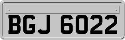 BGJ6022