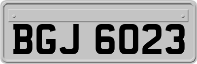 BGJ6023