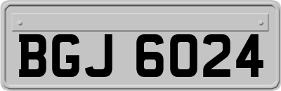 BGJ6024