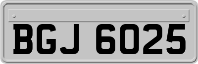 BGJ6025