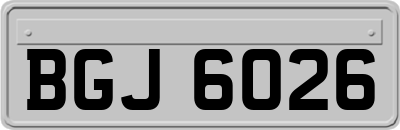 BGJ6026