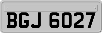 BGJ6027