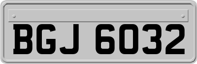 BGJ6032