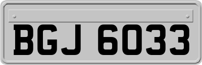 BGJ6033