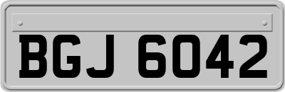 BGJ6042