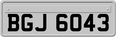 BGJ6043