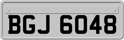 BGJ6048