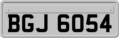 BGJ6054