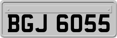 BGJ6055