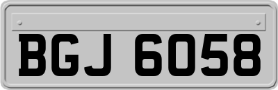 BGJ6058