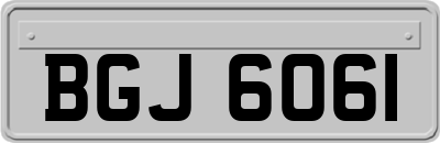 BGJ6061