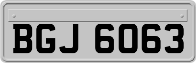 BGJ6063