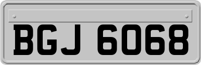 BGJ6068