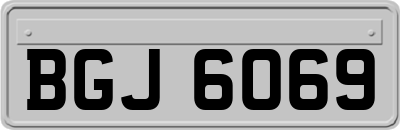 BGJ6069