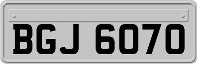 BGJ6070