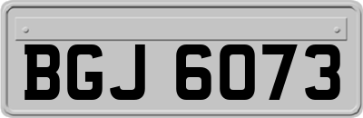 BGJ6073
