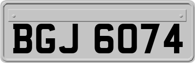 BGJ6074