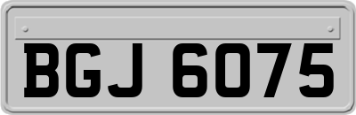 BGJ6075