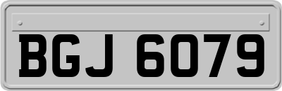BGJ6079