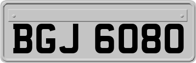 BGJ6080