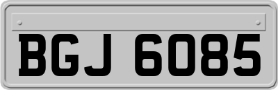 BGJ6085