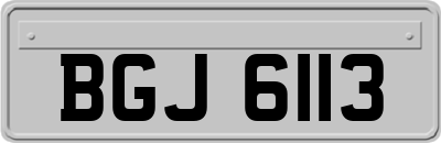 BGJ6113