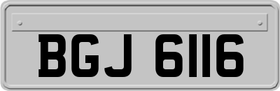 BGJ6116