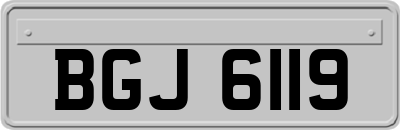 BGJ6119