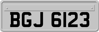 BGJ6123