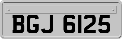 BGJ6125