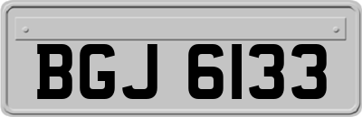 BGJ6133