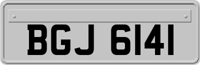 BGJ6141
