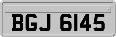BGJ6145