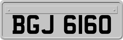 BGJ6160