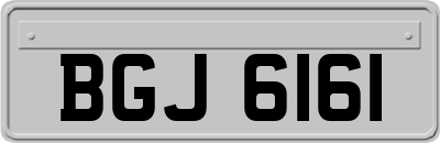 BGJ6161