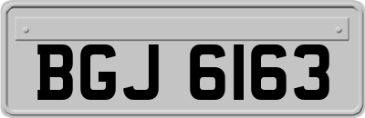 BGJ6163