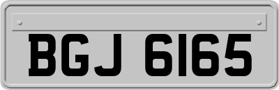 BGJ6165