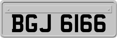 BGJ6166