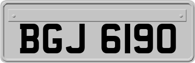 BGJ6190