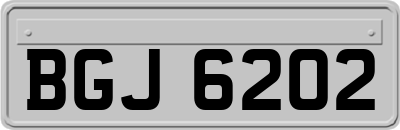 BGJ6202