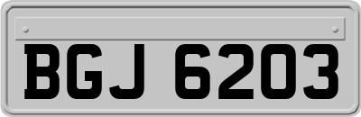 BGJ6203