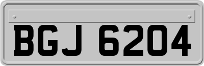 BGJ6204