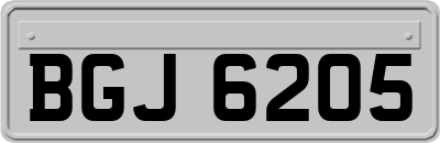 BGJ6205