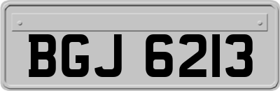 BGJ6213