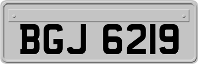 BGJ6219