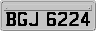 BGJ6224