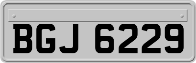 BGJ6229