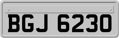 BGJ6230